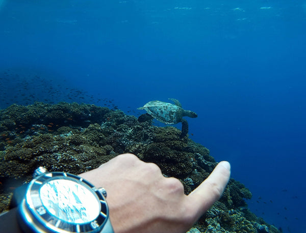 REISEBERICHT #5: FIDSCHI UND TONGA MIT BIRGIT STANDHARTINGER