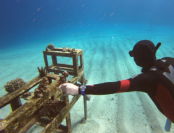 REISEBERICHT #6: ÄGYPTEN MIT THILO EISENHARDT